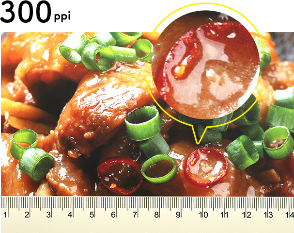 300ppi�β����٥ǡ����ǰ����򤷤���ļѤΥݥ�����