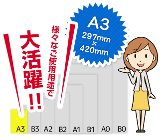 A3���������͡��ʤ��������Ӥ��������