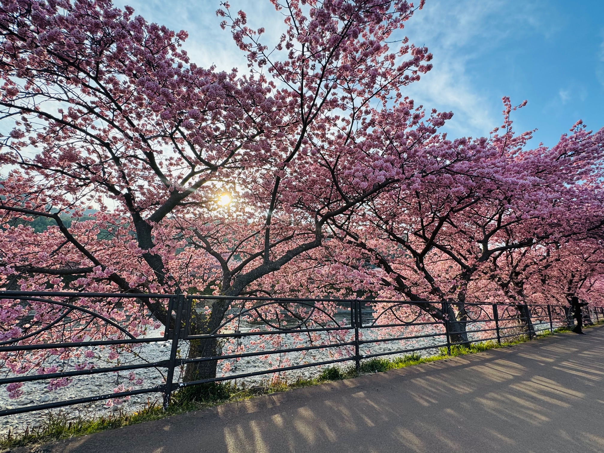 大判ポスター出力/写真半光沢紙 - 大判出力 ポスター印刷の【ソクプリ